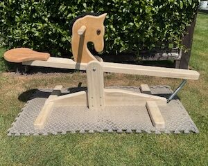 Spring Horse